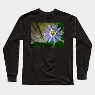 Passion flower in close-up - a photo study in green and purple Long Sleeve T-Shirt